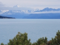 Lake Tekapo_036