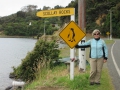 Stewart Island_025