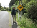 Stewart Island_035