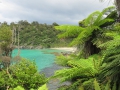 Stewart Island_036