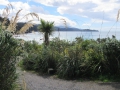 Stewart Island_040