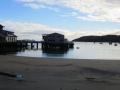 Stewart Island_044