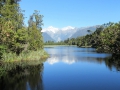 Fox Glacier_082