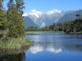 Fox Glacier_083