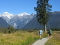 Fox Glacier_087