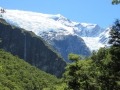 Fox Glacier_024