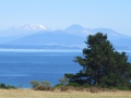 Lake Taupo_110