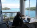 Paihia_029