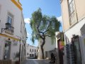 Algarve-2020_0525