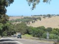 Barossa-Valley-35